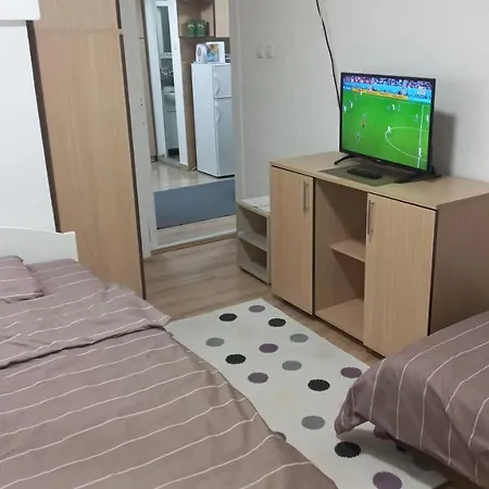 Aleksandar * Kopaonik