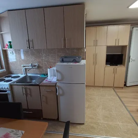 Aleksandar * Kopaonik