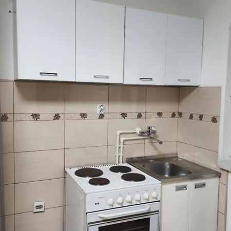 Lejlighed Aleksandar Kopaonik