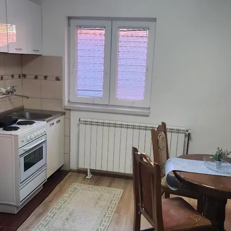 Lejlighed Aleksandar *